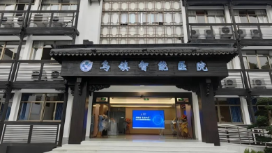 醫(yī)療AI科技如何助力公立醫(yī)院改革與高質(zhì)量發(fā)展？